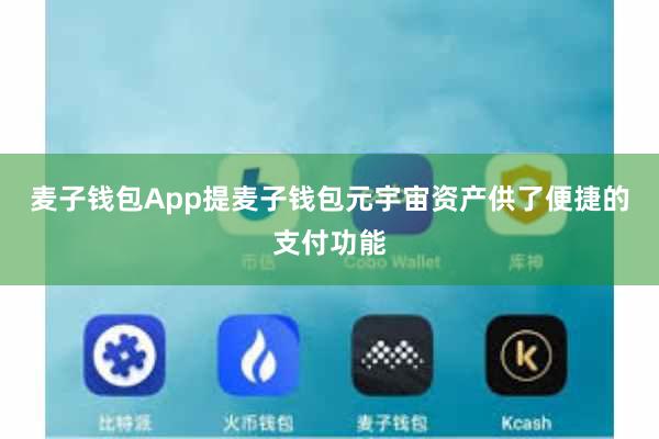 麦子钱包App提麦子钱包元宇宙资产供了便捷的支付功能