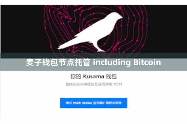 麦子钱包节点托管 including Bitcoin
