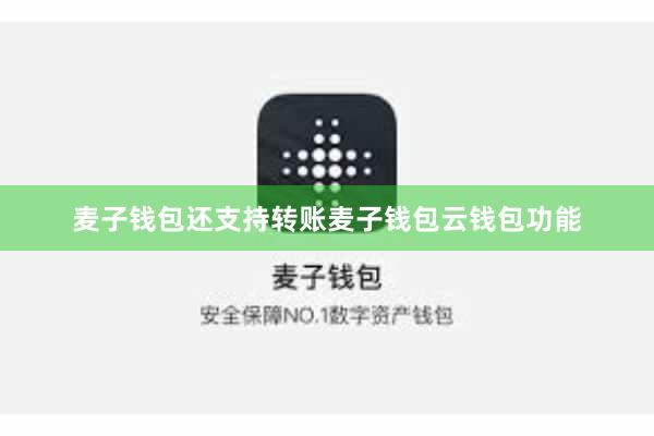 麦子钱包还支持转账麦子钱包云钱包功能