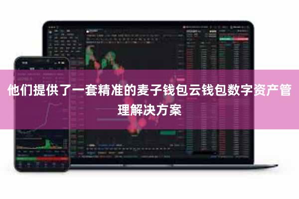 他们提供了一套精准的麦子钱包云钱包数字资产管理解决方案