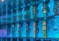 杭州富阳区银湖街道附近ktv招聘酒水促销员,过年放假吗？