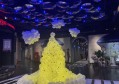 杭州临安区昌化镇附近ktv招聘商务接待,接受新人的
