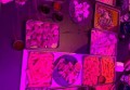 杭州萧山区南阳街道附近夜总会招聘酒水促销员,招聘电话多少