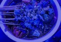 高薪招聘引爆全城文案（全城热议：高薪职位诚邀英才加入）