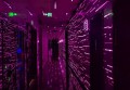 杭州上城区丁兰街道附近夜总会招聘包厢陪唱,有哪些工作岗位